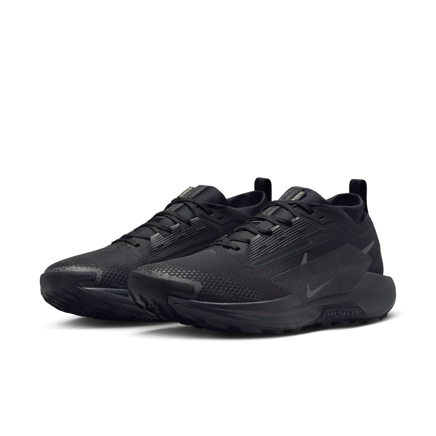 Men's Pegasus Trail 5 GTX