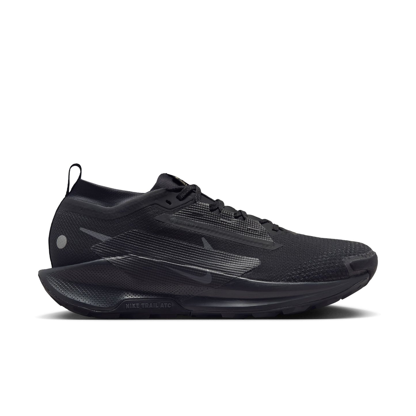 Men's Pegasus Trail 5 GTX