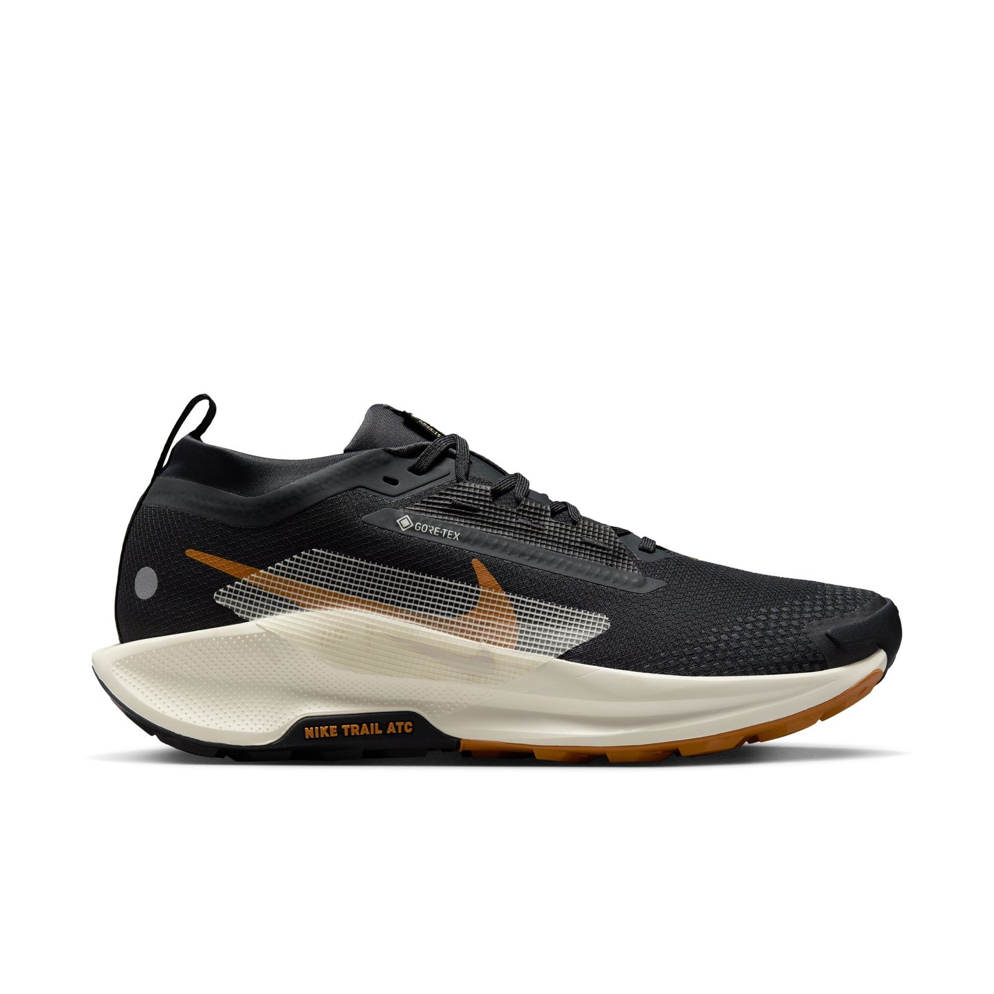 Men's Pegasus Trail 5 GTX