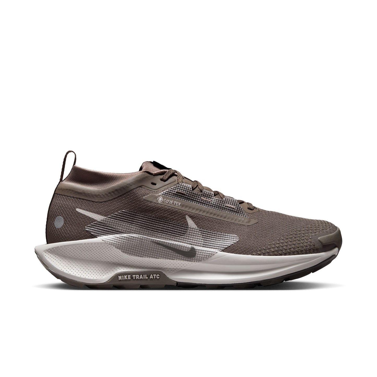 Men's Pegasus Trail 5 GTX