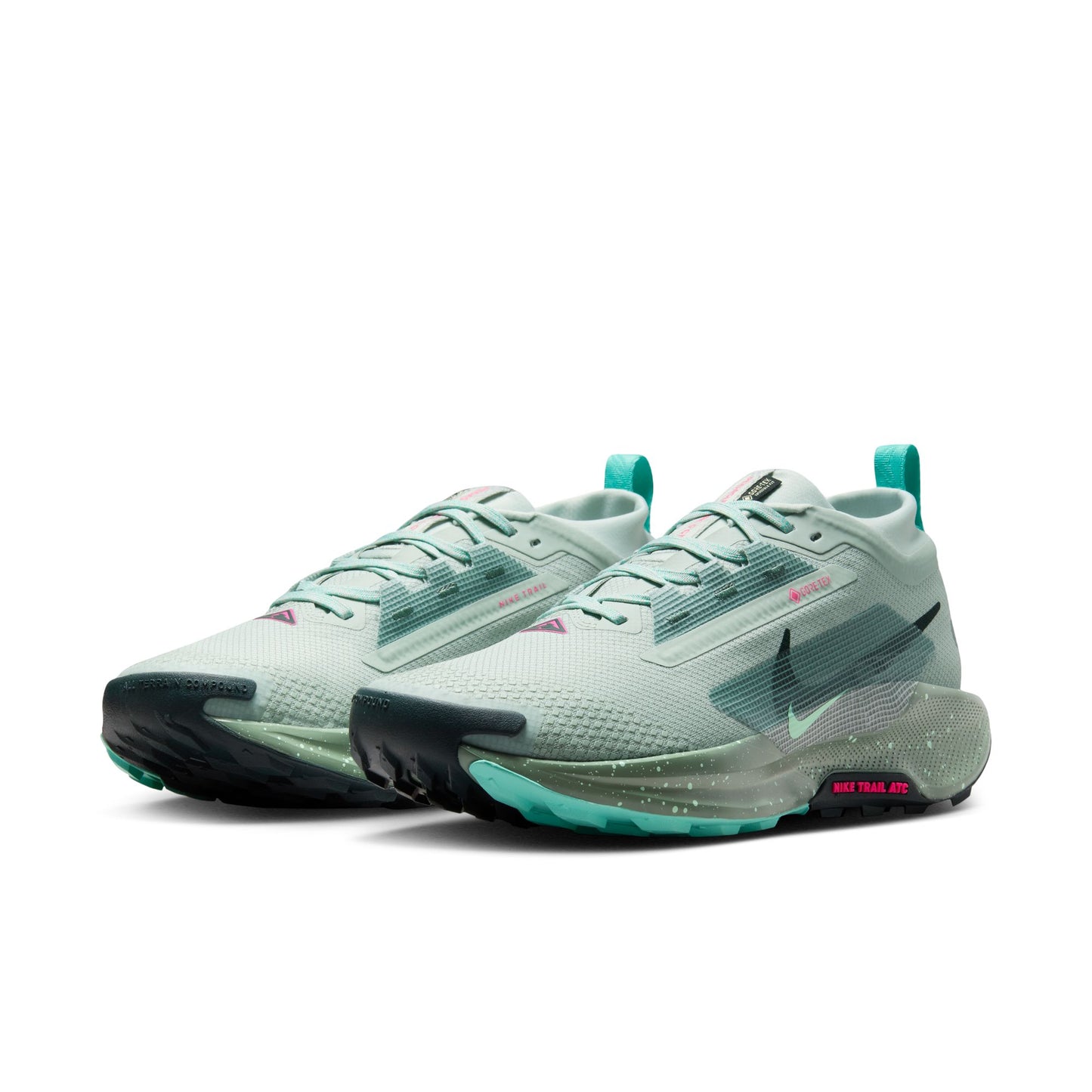 Men's Pegasus Trail 5 GTX