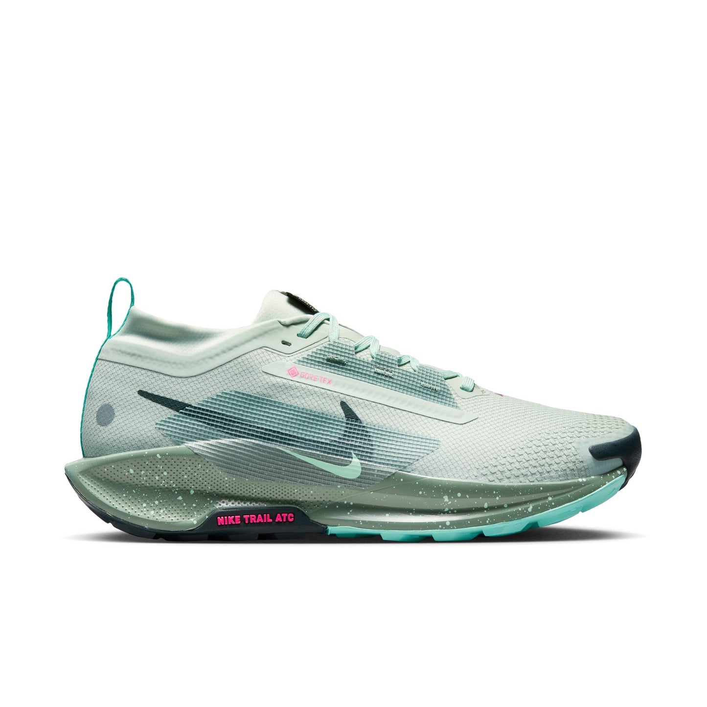 Men's Pegasus Trail 5 GTX