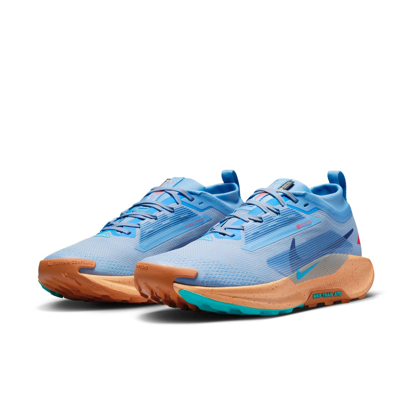 Men's Pegasus Trail 5 GTX