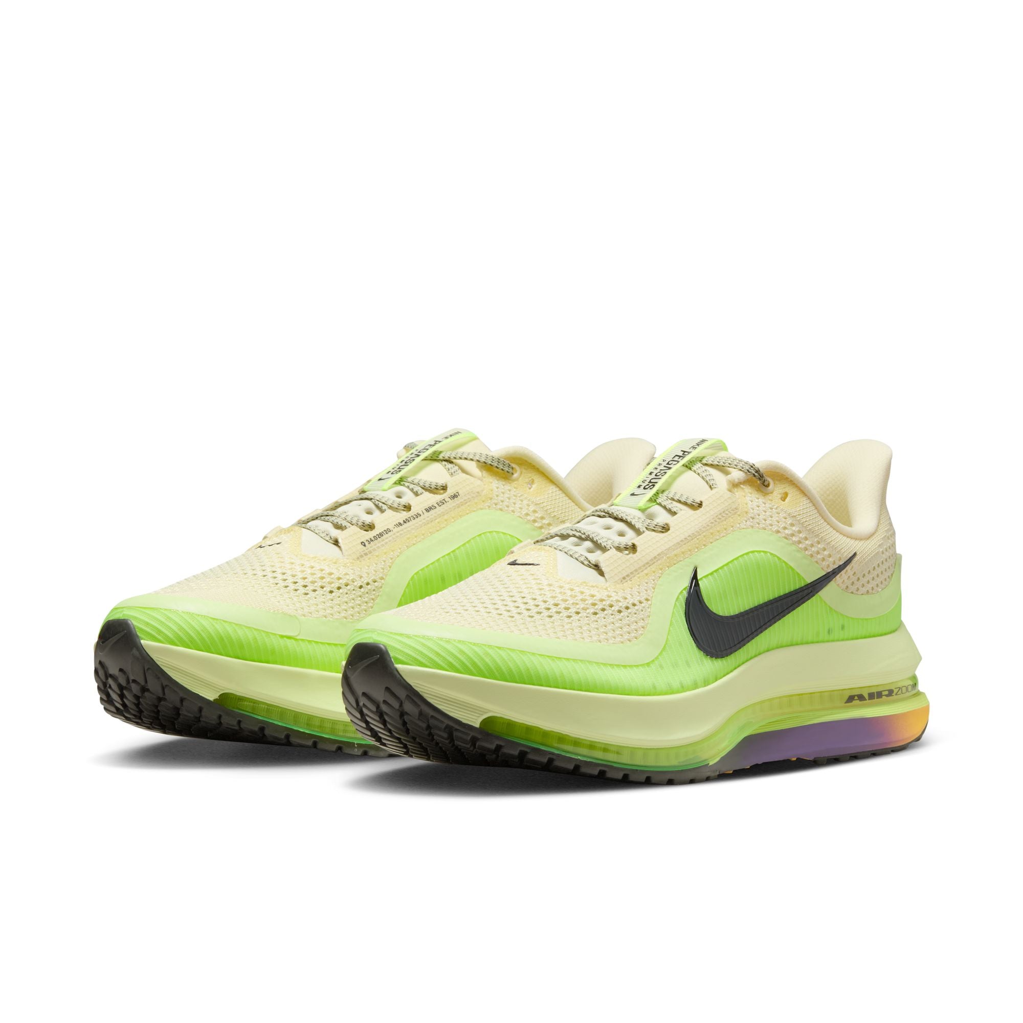 Men's Pegasus Premium – Run Flagstaff